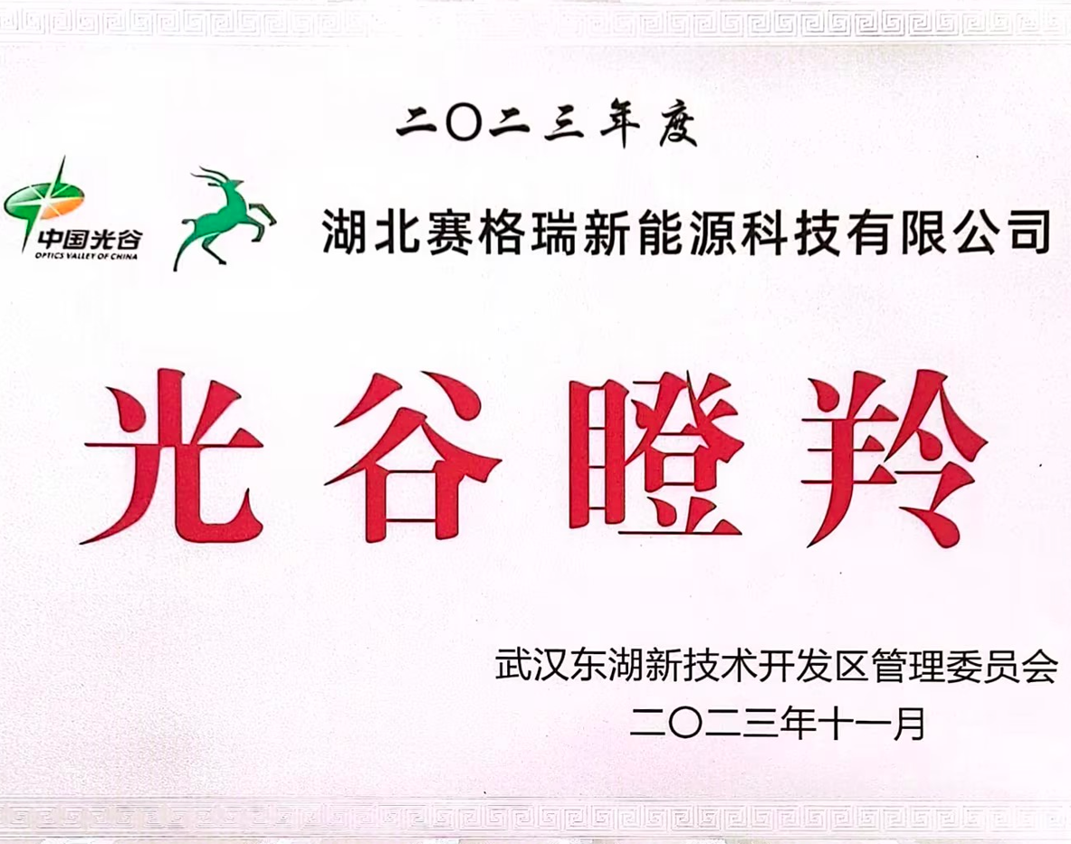 喜訊| 賽格瑞連續兩年成功入選“光谷瞪羚”企業